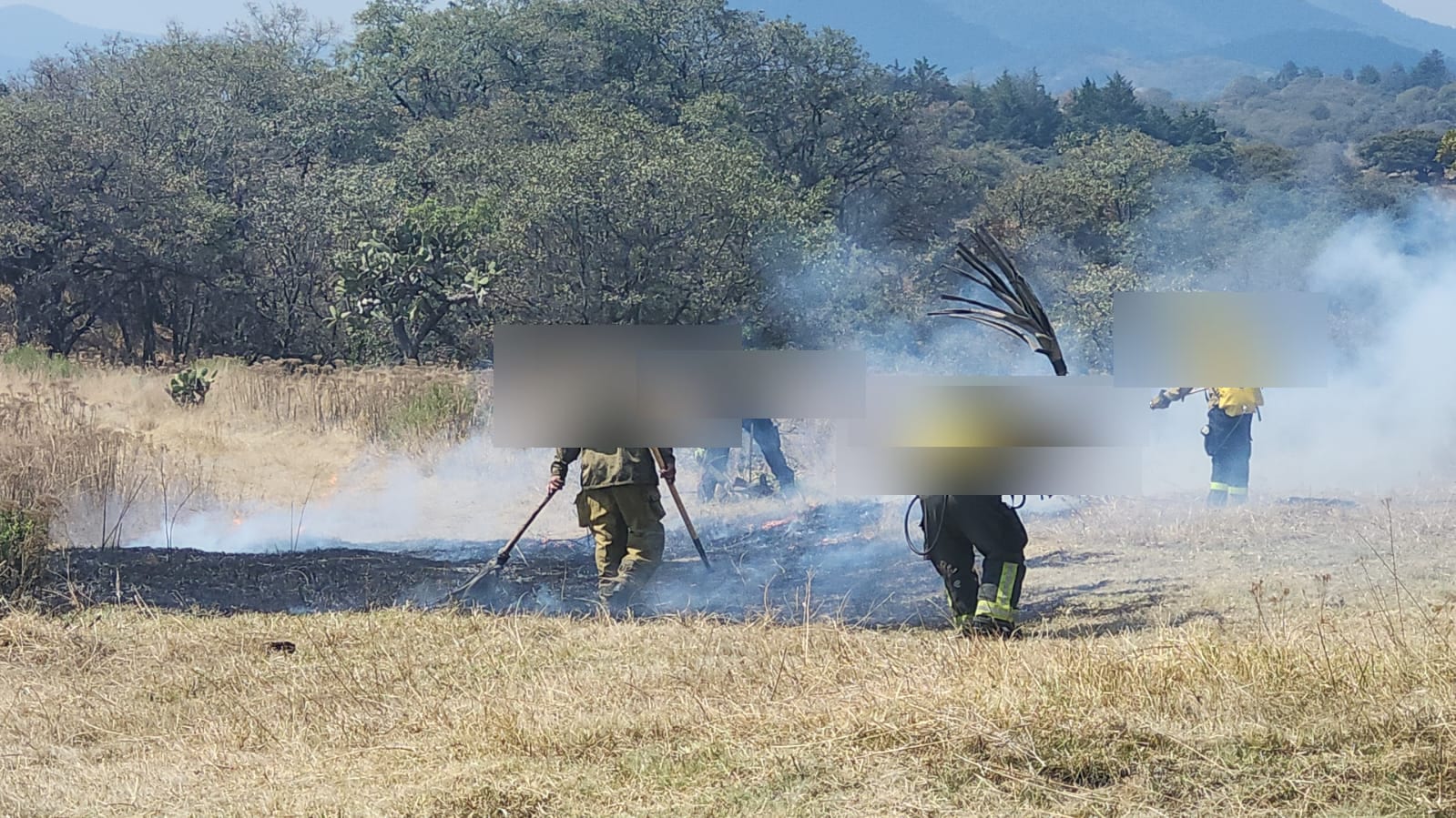 incendios 3