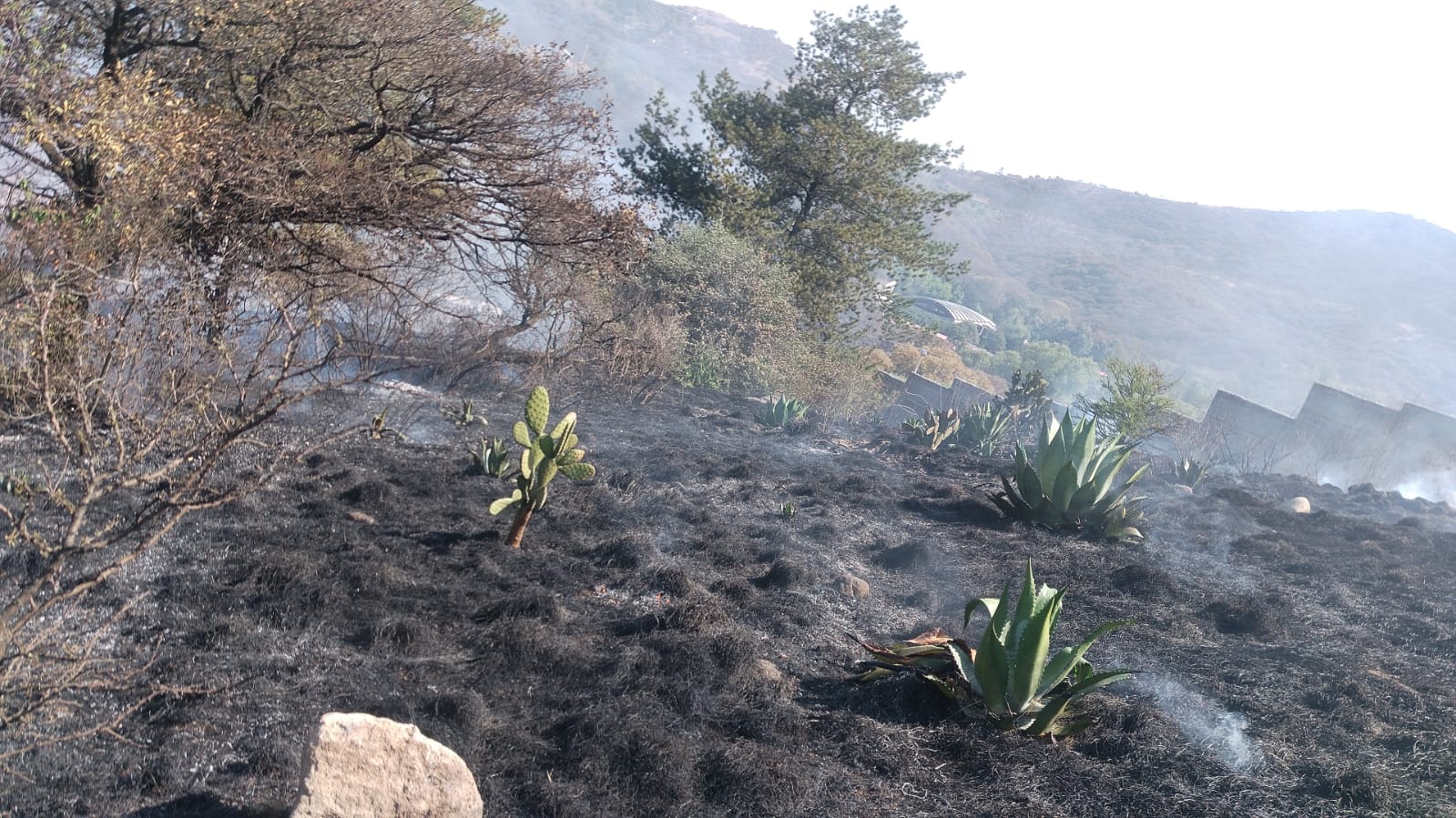 incendios 4