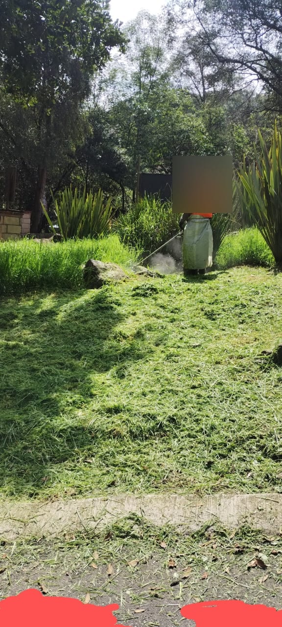 jardineria 3