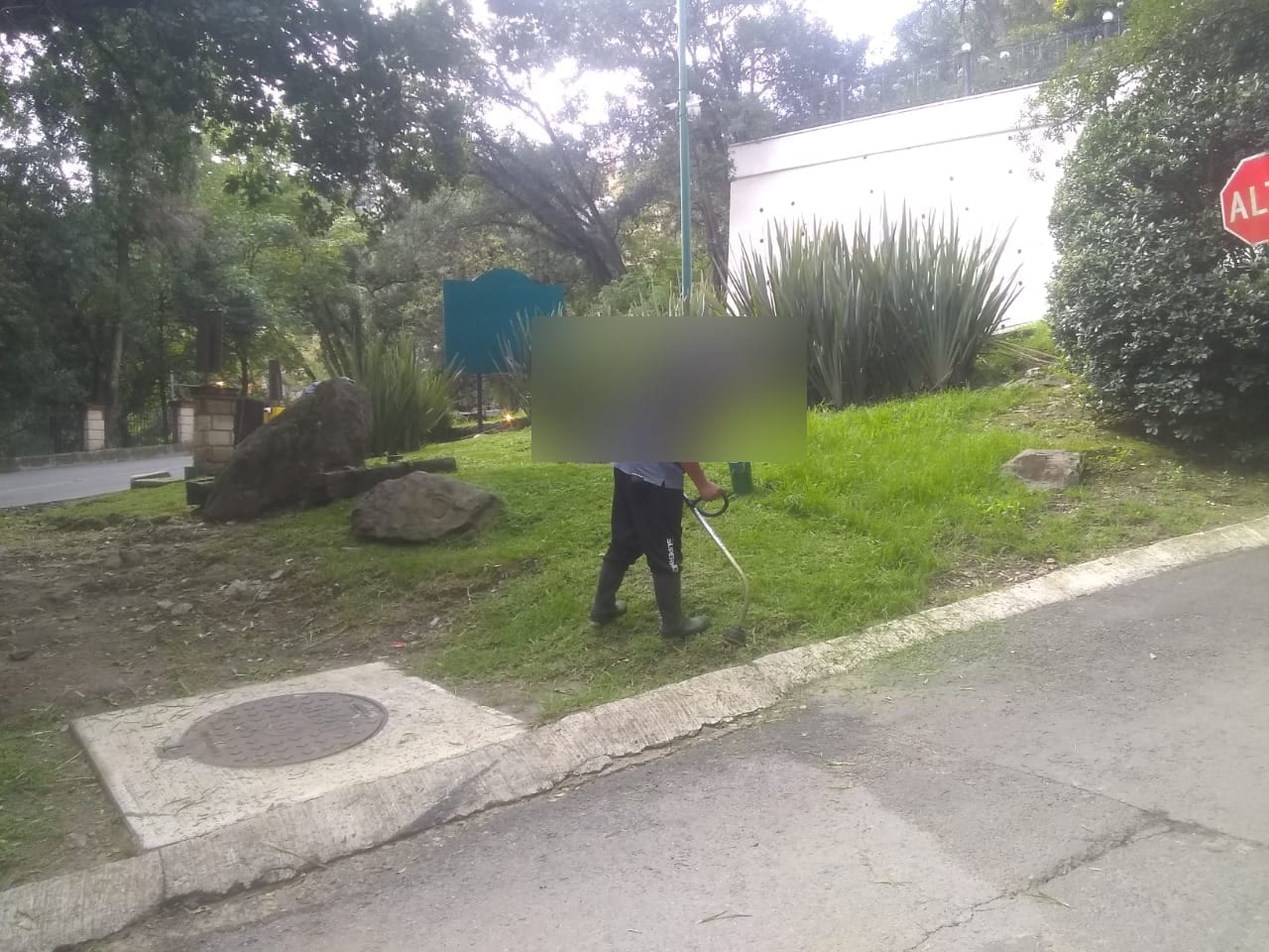 jardineria 4