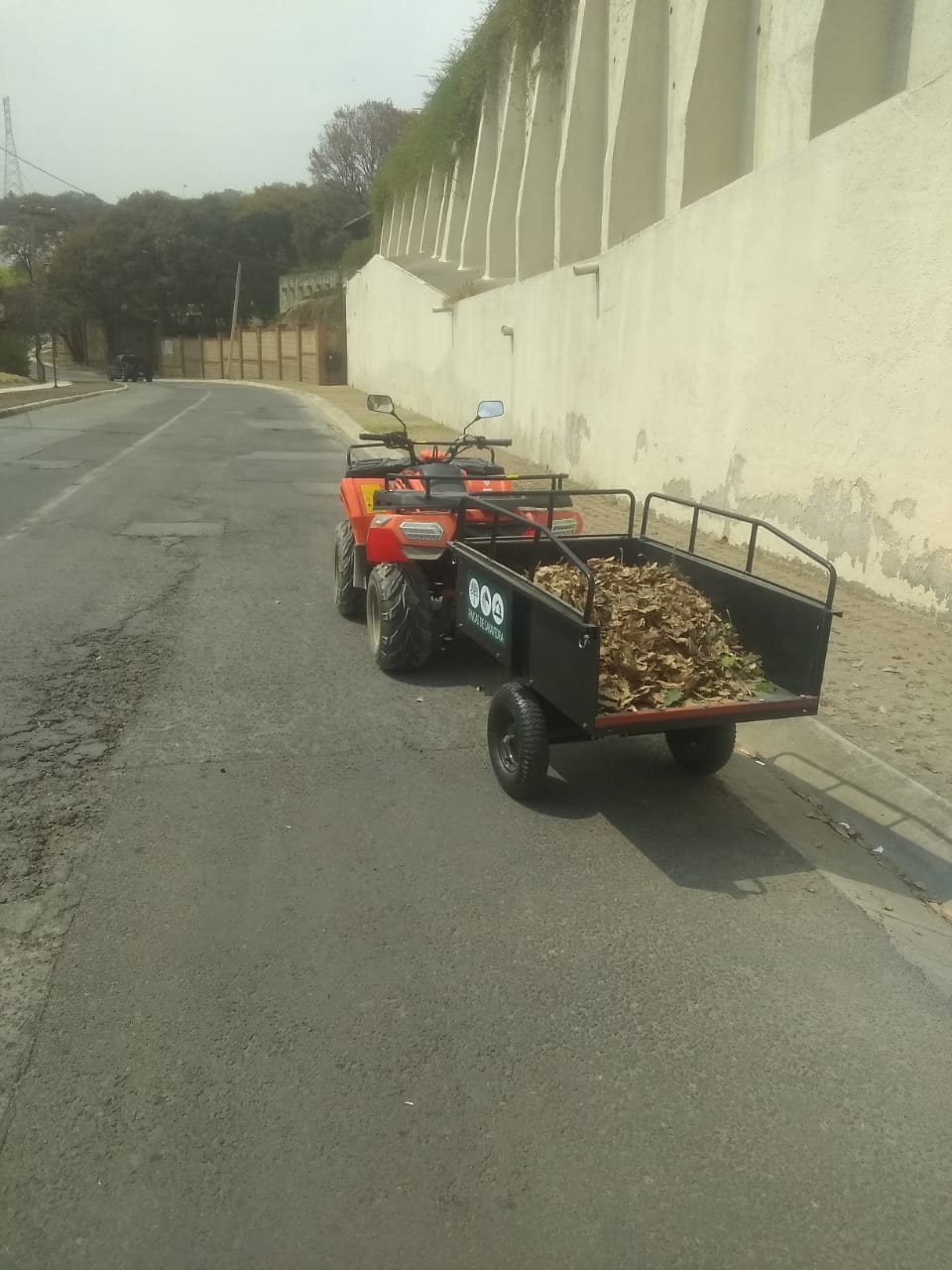 limpieza 10
